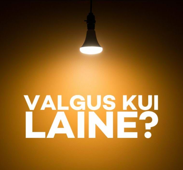 Mesilane 5/8 kaanepilt