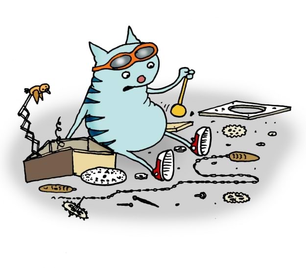 Kass lammutab ja otsib füüsikat