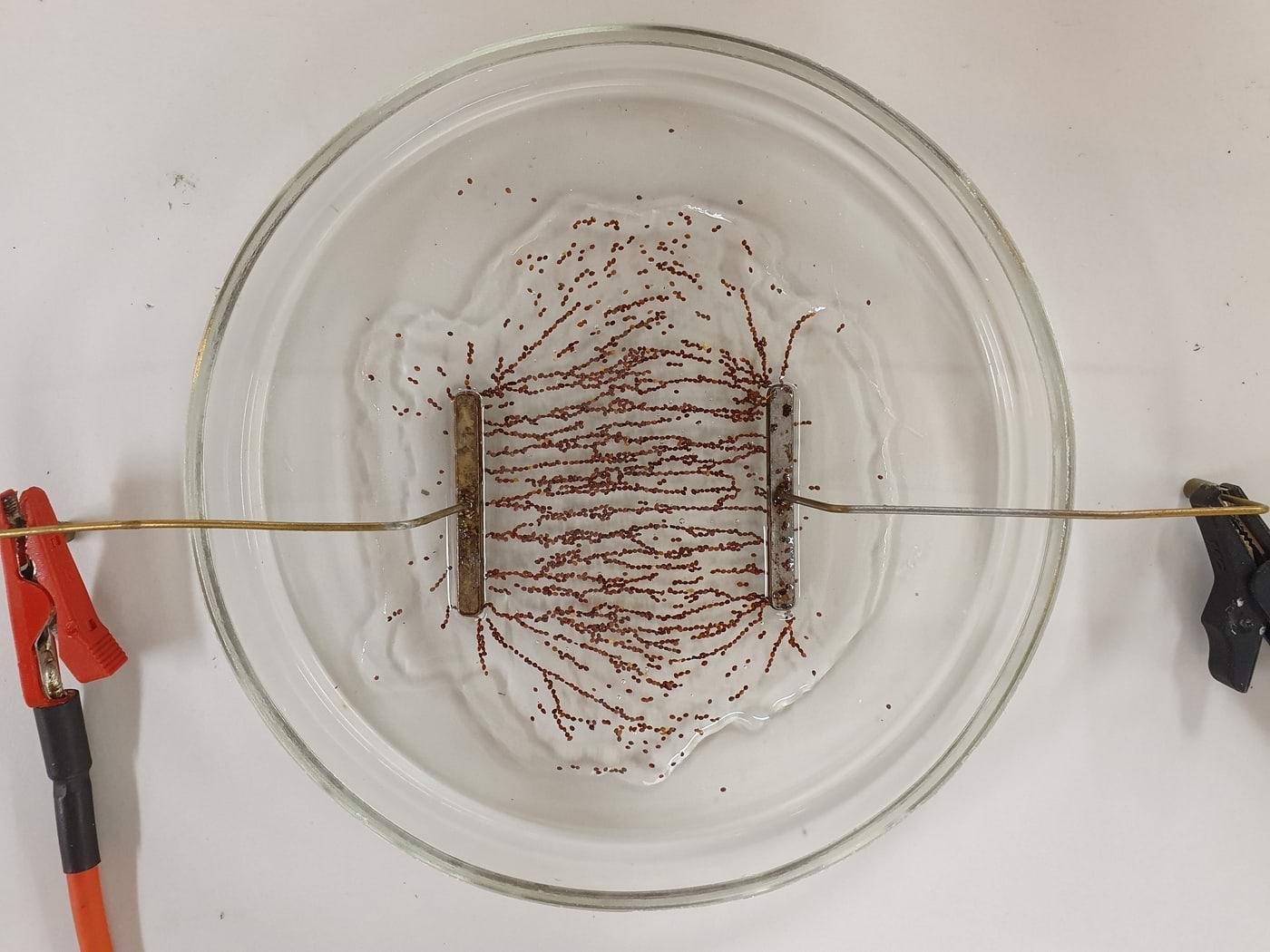 Katse elektrivälja jõujoonte uurimiseks