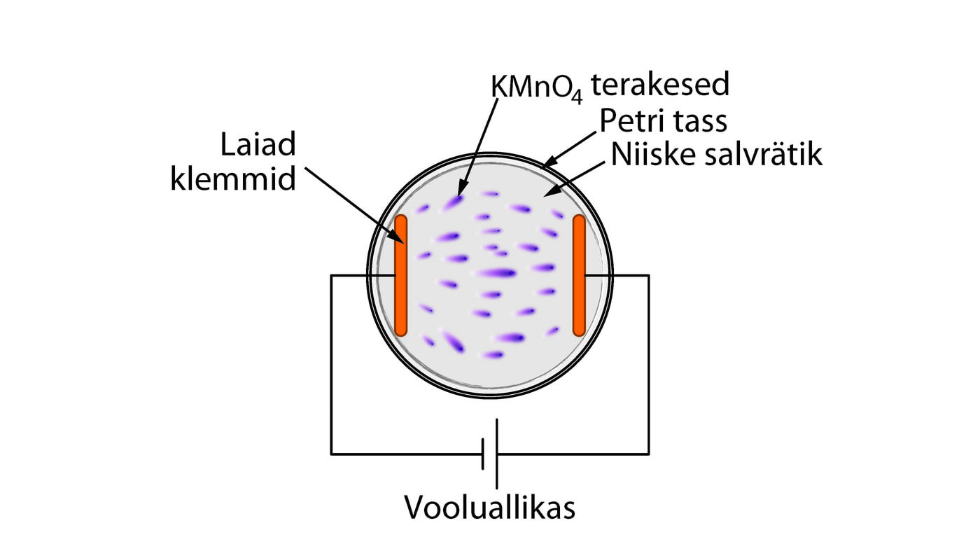 Elektrivoolu visualiseeriv katse
