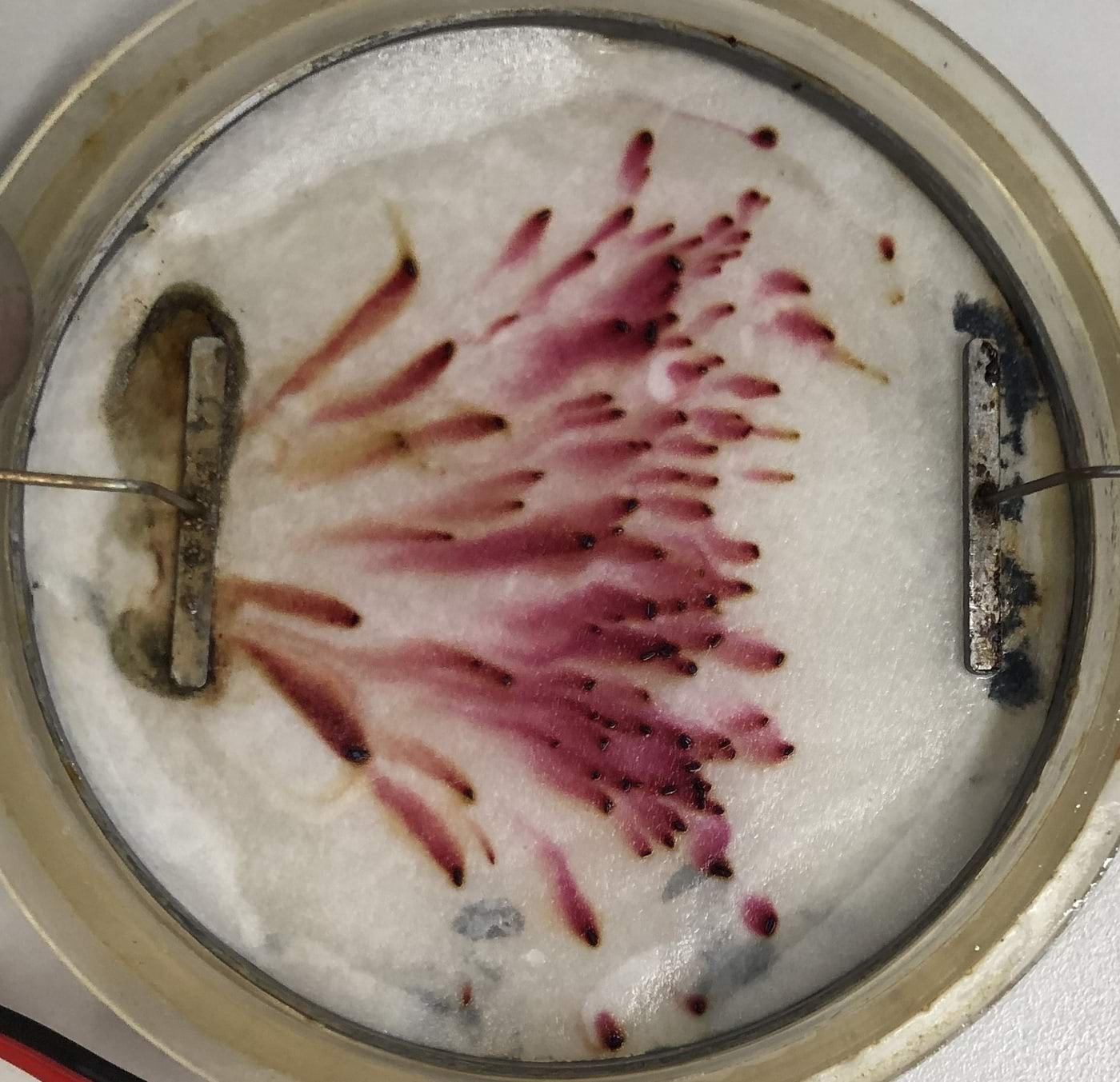 Elektrivoolu visualiseeriv katse