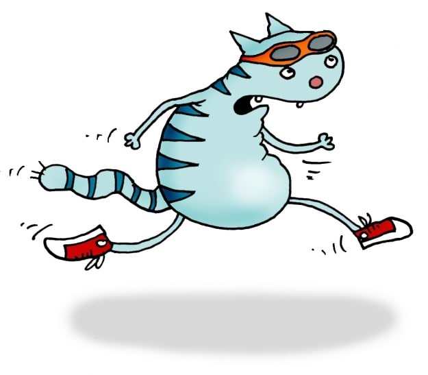 Kass jookseb, aga valgusest ette ei jõua