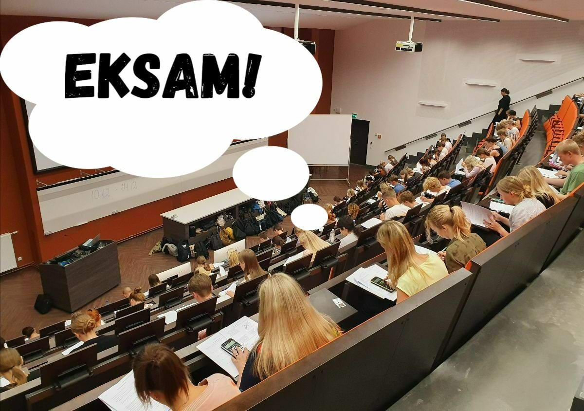 Mesilane 6/6 kaanepilt