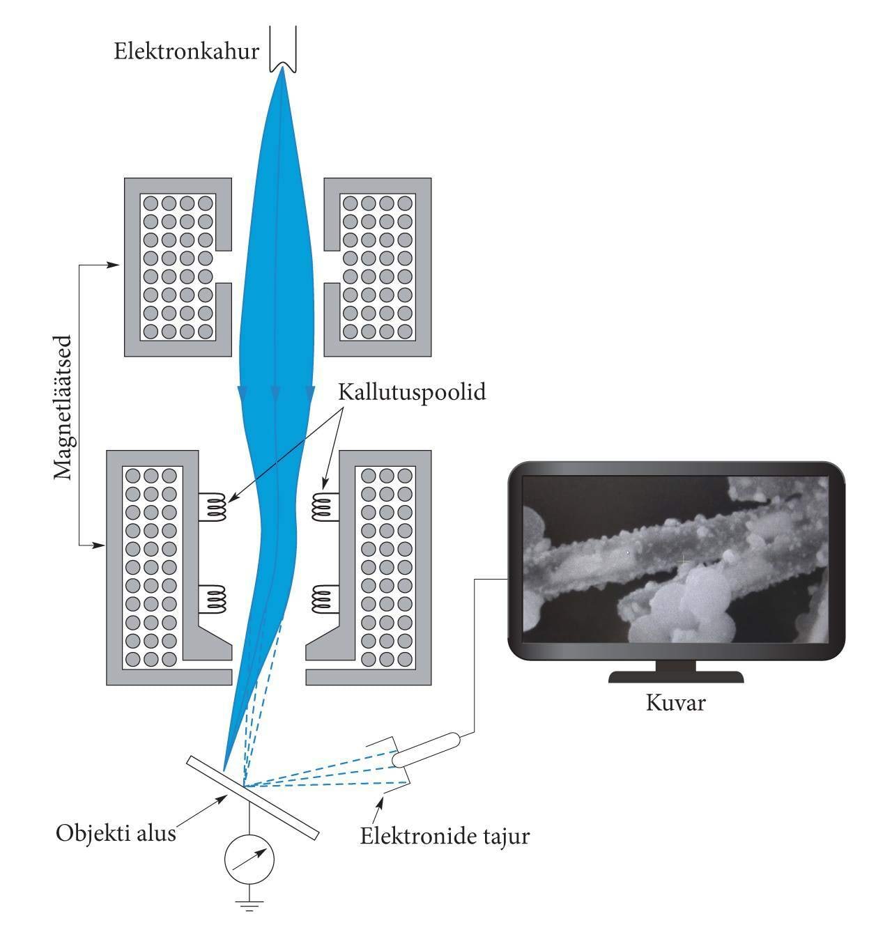 Raster-elektronmikroskoobi tööpõhimõte