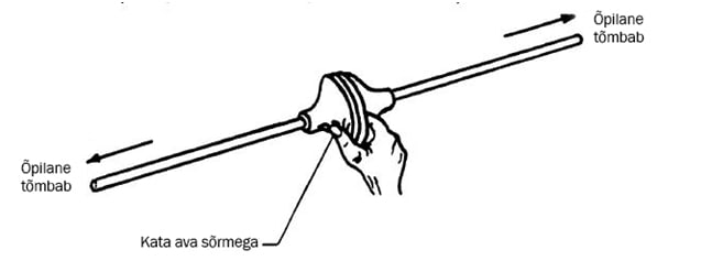 Bioonilised sõrmed (II)