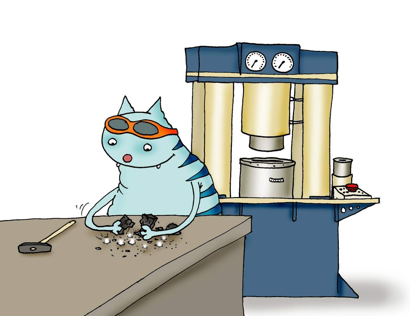 Kass teeb söest teemanteid