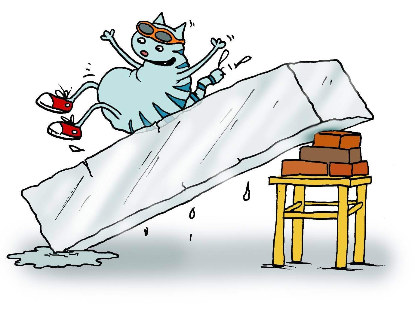 Kass laseb jääplokil liugu