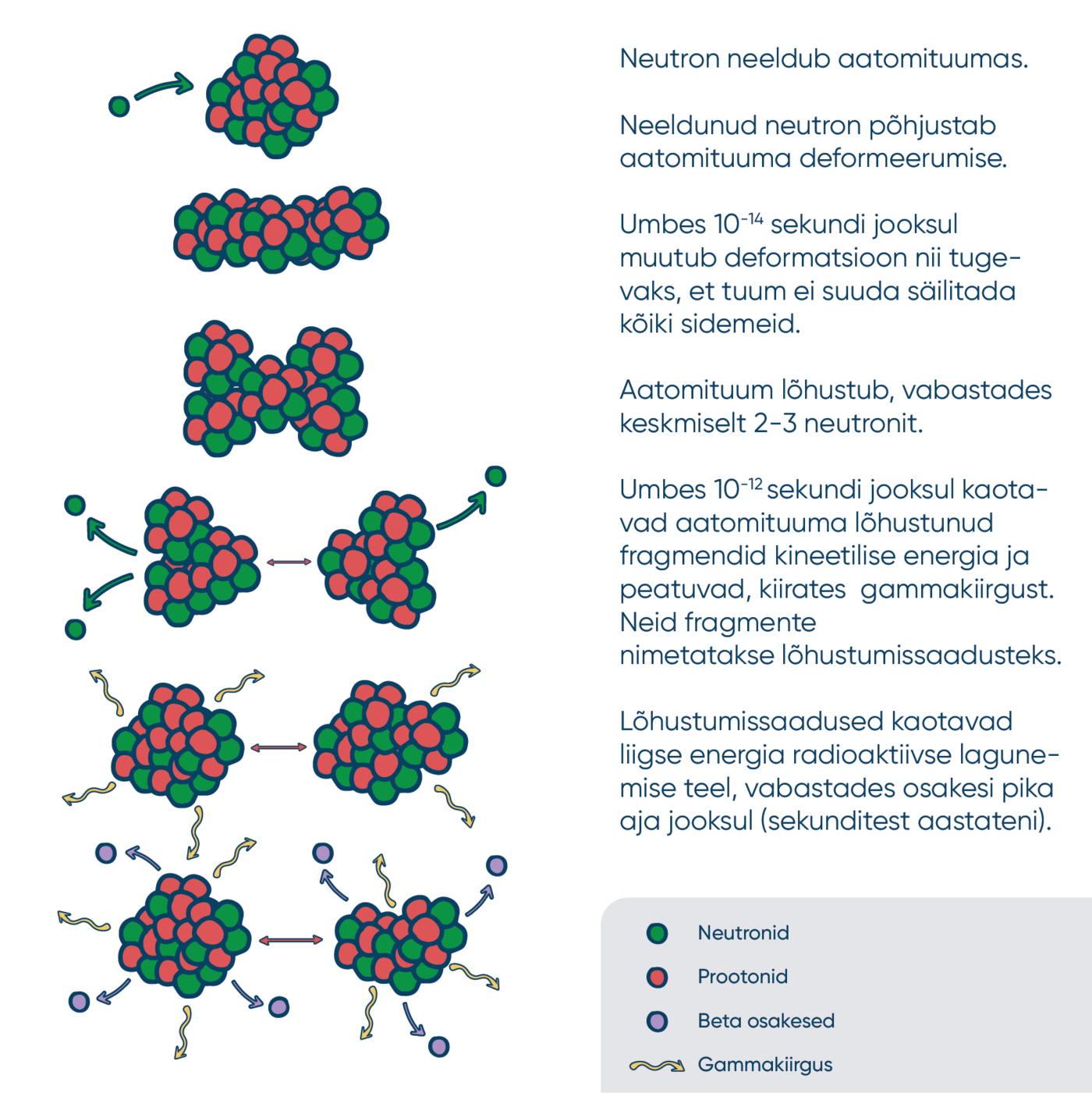 Tuumade lõhustumise reaktsioon