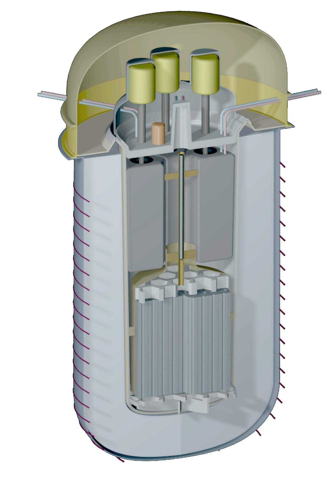 Terrestriali IMSR-reaktorimooduli ristlõige