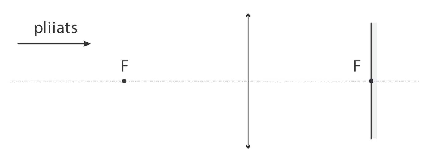 PLIIATSI KUJUTIS joonis
