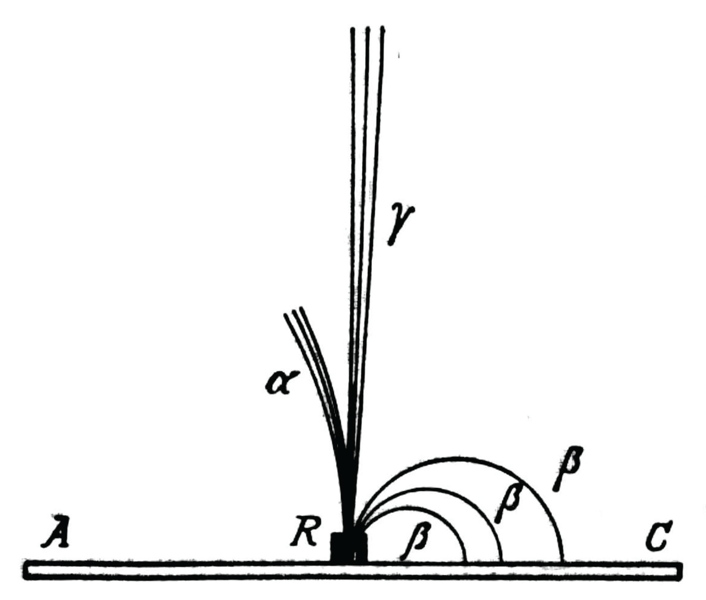 Joonis 47. $\alpha$-, $\beta$- ja $\gamma$-kiirte hälbimine magnetväljas, mis on joonise tasandiga risti, $\alpha$-kiirte hälve on suuresti liialdatud.