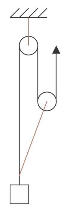 KANNATANU PÄÄSTMINE joonis