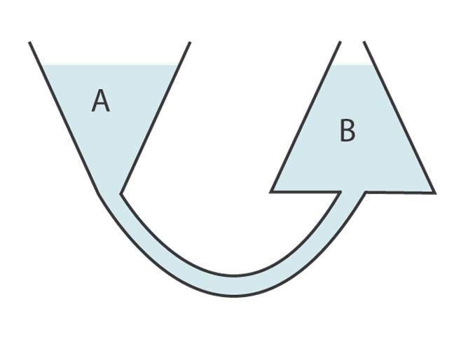 KOONILISED ANUMAD joonis