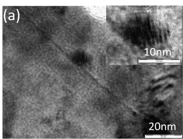 Vasekiht elektronmikroskoobis