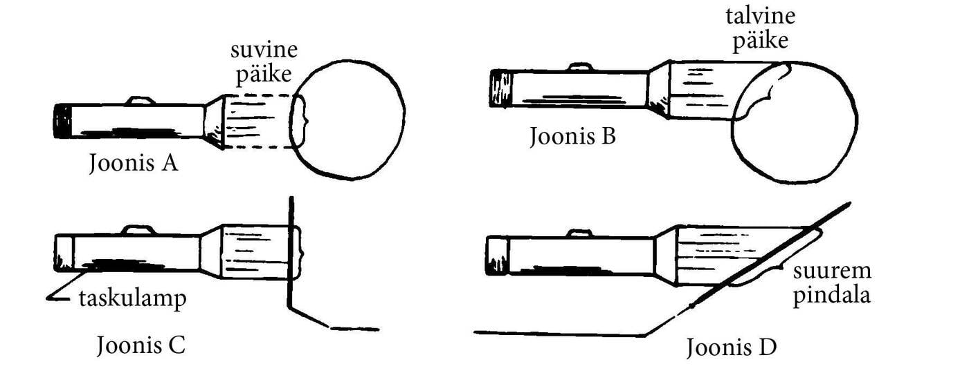 Külm talvepäike: joonis