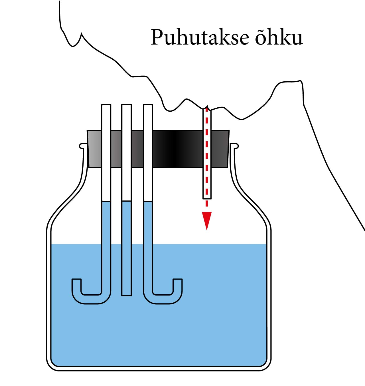 Pascal'i seaduse kehtivuse demonstratsioon