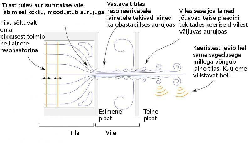 Kuidas kann vilistab, joonis
