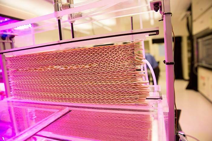 Süsinikku siduv paneel