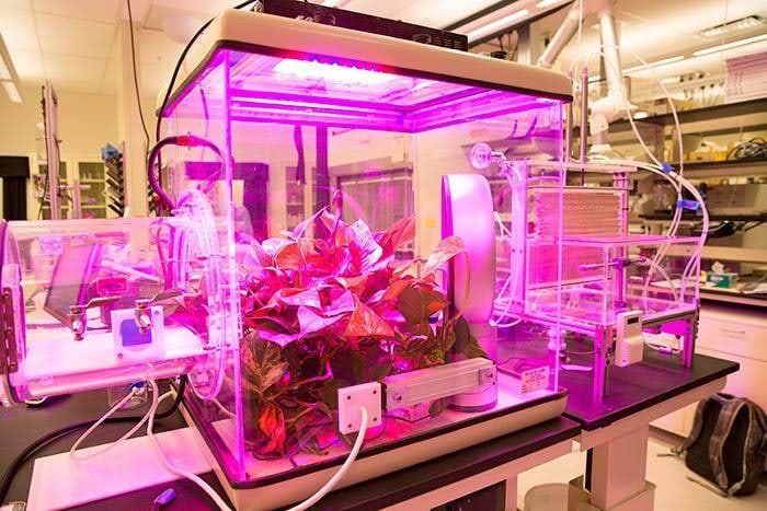 Süsinikku siduv seade2