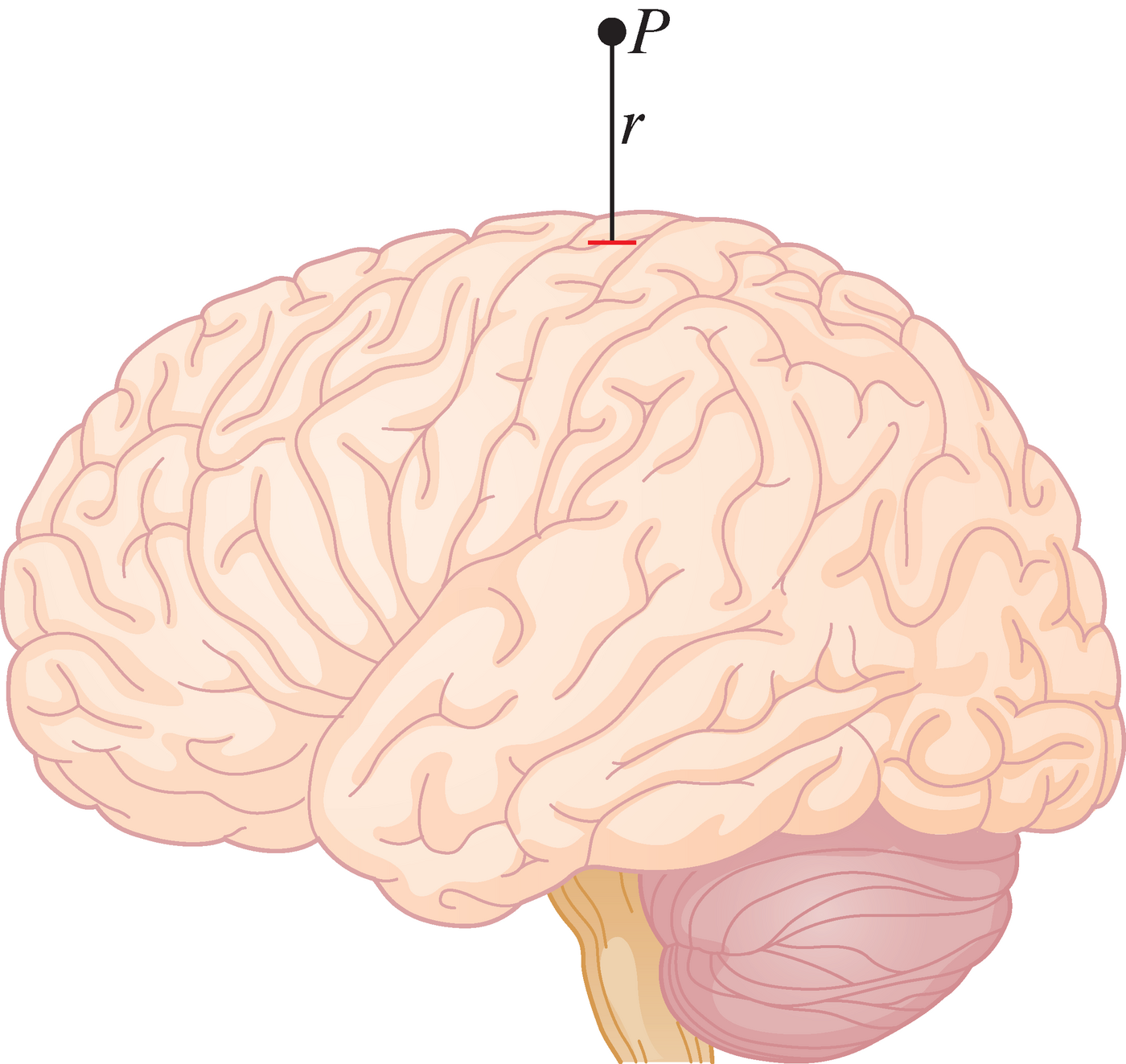 Ajutegevusega kaasnev magnetväli, joonis