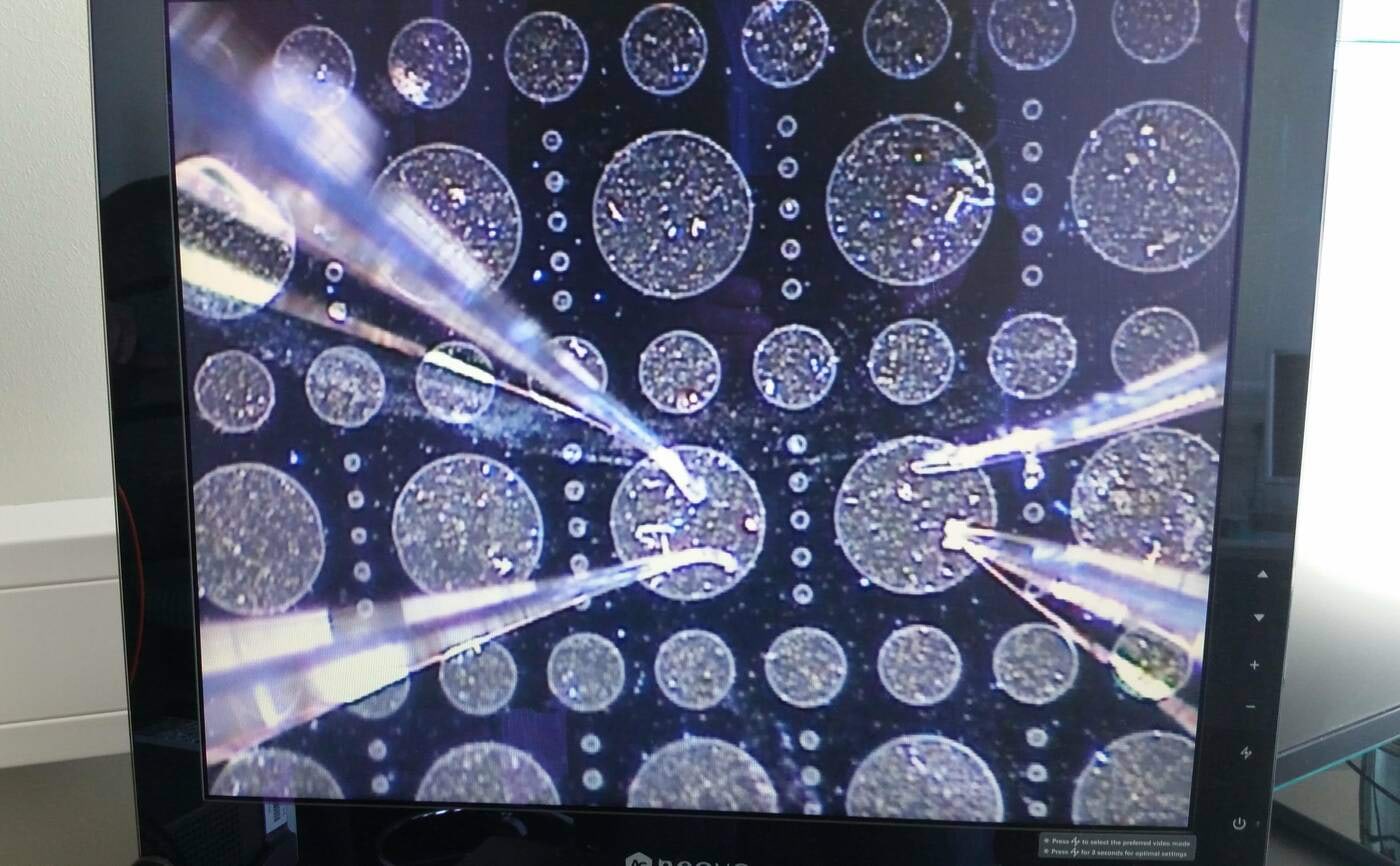 Elektrilise sondi pilt arvutiekraanil